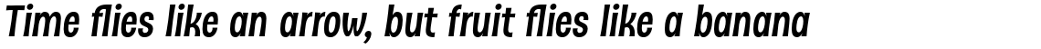 D Sert Alt Bold Italic