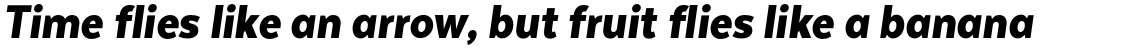 Texta Narrow Black Italic
