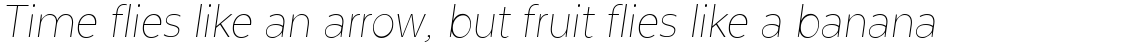 Texta Narrow Alt Thin Italic