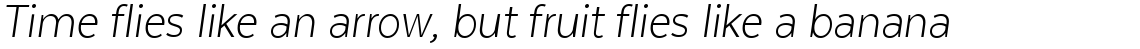 Texta Narrow Alt Light Italic