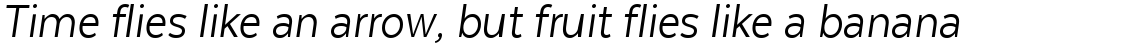 Texta Narrow Alt Book Italic