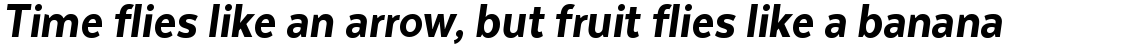 Texta Narrow Alt Heavy Italic