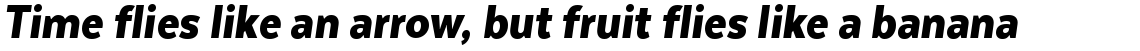 Texta Narrow Alt Black Italic