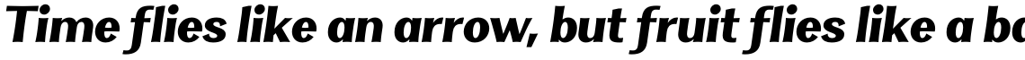 Clasica Sans Ultra Black Italic