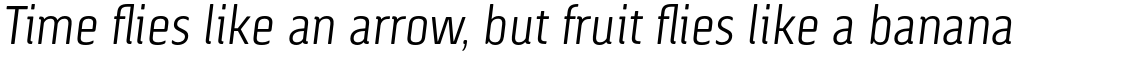 Via Sans Light Italic
