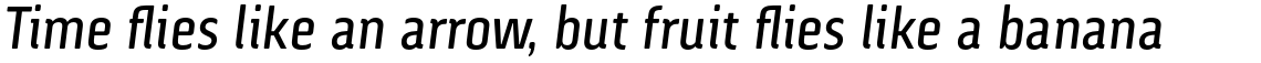 Via Sans Regular Italic