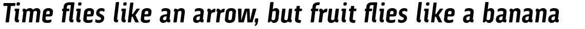 Via Sans Bold Italic