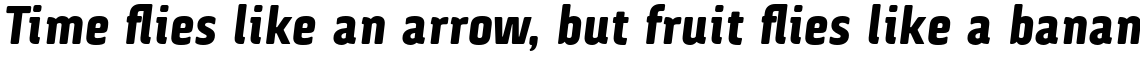 Via Sans Black Italic