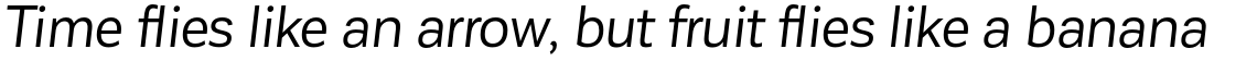 Corporative Sans Regular Italic