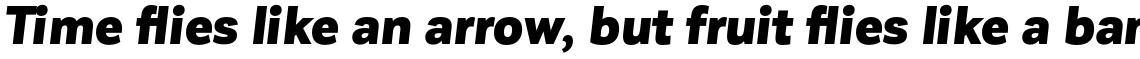 Corporative Sans Black Italic