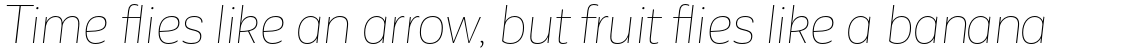 Corporative Sans Alt Hair Italic