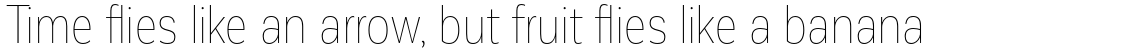 Corporative Sans Condensed Hair