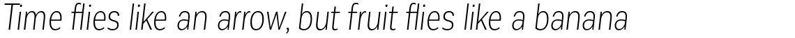 Corporative Sans Condensed Light Italic