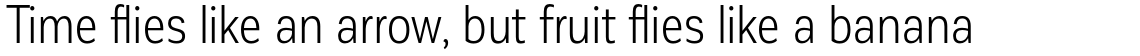 Corporative Sans Condensed Book