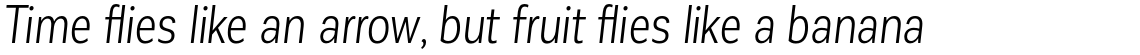 Corporative Sans Condensed Book Italic