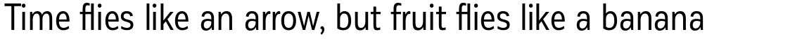 Corporative Sans Condensed Regular