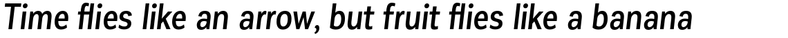 Corporative Sans Condensed Medium Italic