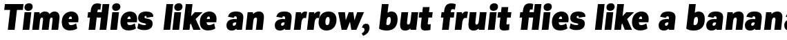 Corporative Sans Condensed Black Italic