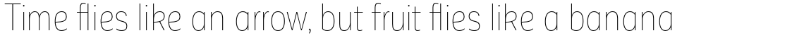 Corporative Sans Alt Condensed Hair