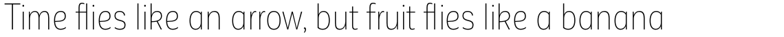 Corporative Sans Alt Condensed Thin
