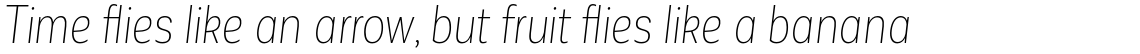 Corporative Sans Alt Condensed Thin Italic