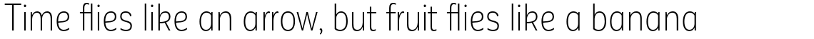 Corporative Sans Alt Condensed Light