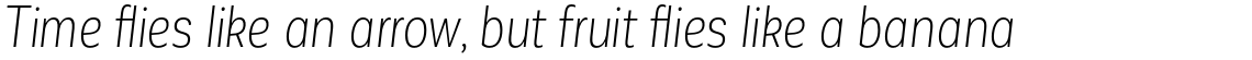 Corporative Sans Alt Condensed Light Italic