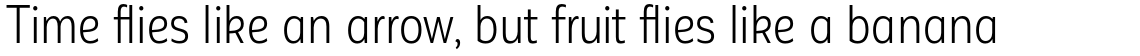 Corporative Sans Alt Condensed Book