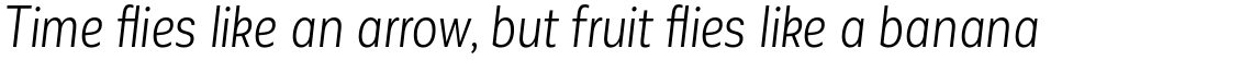 Corporative Sans Alt Condensed Book Italic