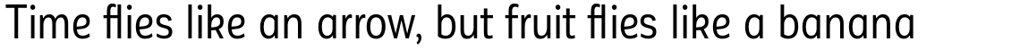 Corporative Sans Alt Condensed Regular