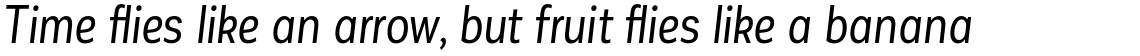 Corporative Sans Alt Condensed Regular Italic
