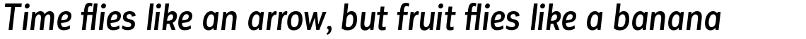 Corporative Sans Alt Condensed Medium Italic
