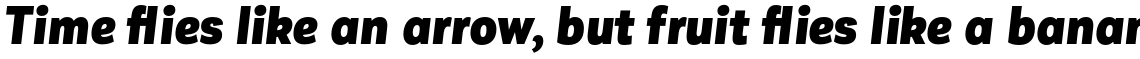 Corporative Sans Alt Condensed Black Italic