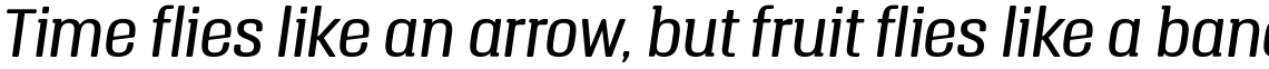 Triump Light Italic