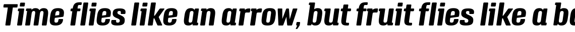 Triump Bold Italic