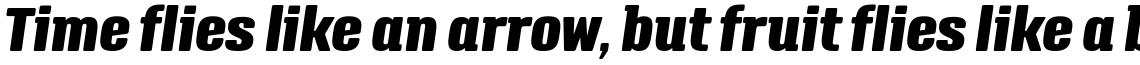 Triump Black Italic