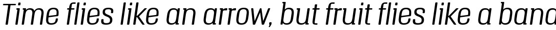 Triump Thin Italic