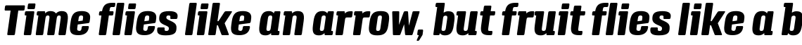 Triump Extra Bold Italic