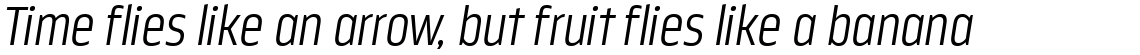 Nordikka Light Italic