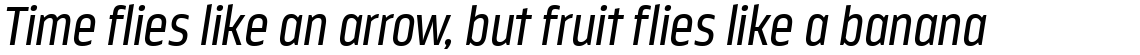 Nordikka Regular Italic