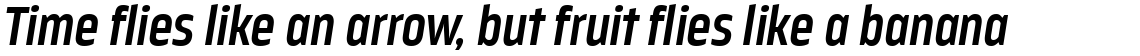 Nordikka Bold Italic