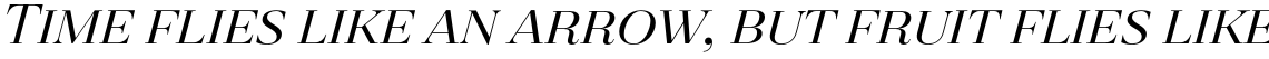 Revista Regular Italic