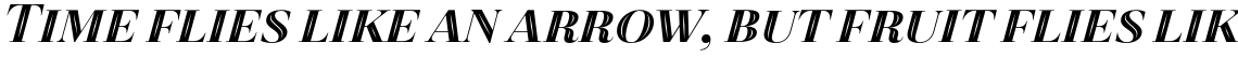 Revista Inline Black Italic