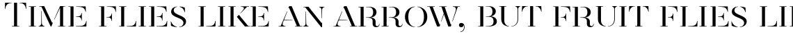 Revista Stencil Regular