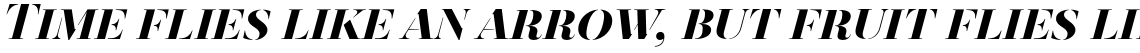Revista Stencil Black Italic