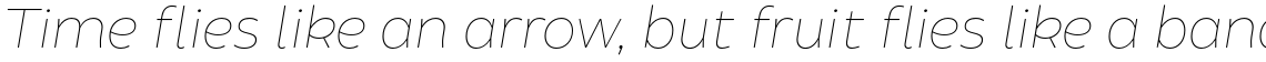 Brocha Hair Italic