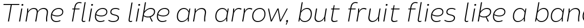 Brocha Thin Italic
