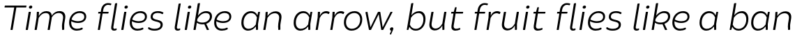 Brocha Light Italic