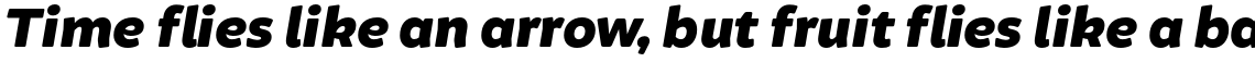 Brocha Black Italic
