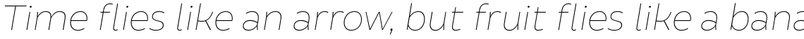 Brocha Alt Hair Italic